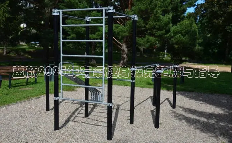 333体育官网在线登录