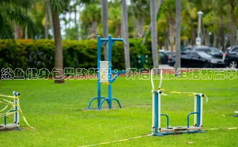 333体育平台网页版