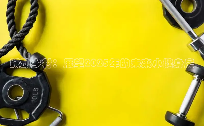 333体育官网入口