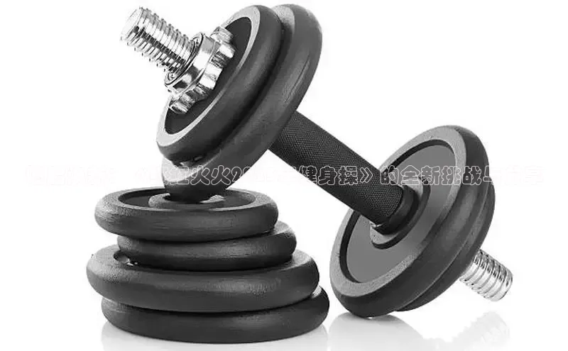 333体育平台网页版