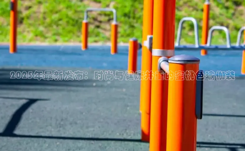 333体育官网入口